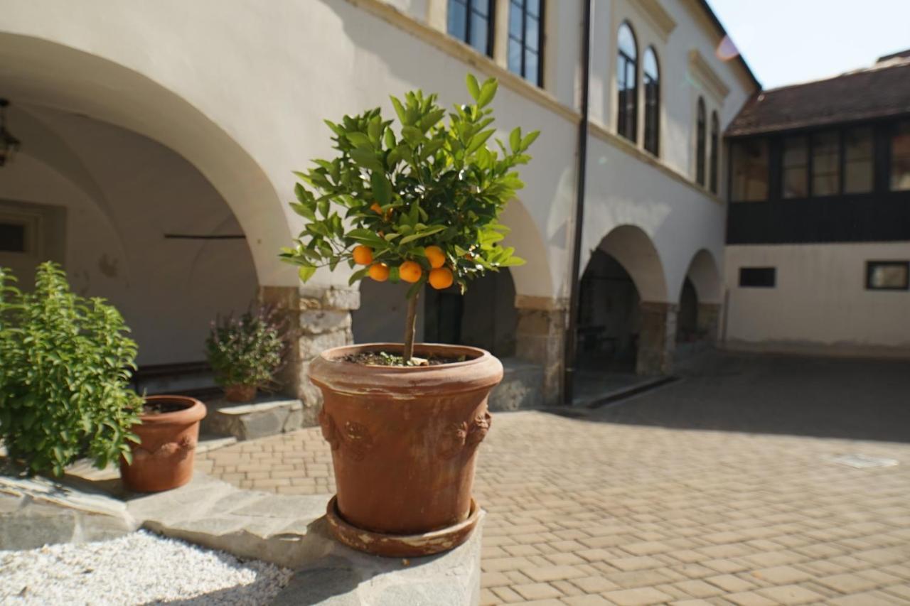 Sobe Prostija Apartamento Ptuj Exterior foto